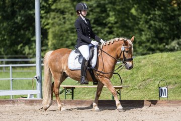 Bild 539 - Pony Akademie Turnier